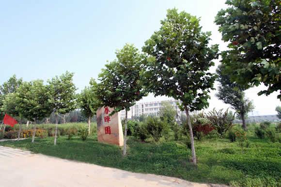 衡水科技工程學(xué)校怎么樣？是國(guó)辦院校嗎？就業(yè)有保障嗎？