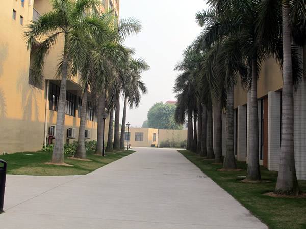 到石家莊鐵路專(zhuān)業(yè)學(xué)校學(xué)習(xí)鐵道運(yùn)輸管理專(zhuān)業(yè)好嗎？