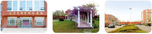 為什么那么多人想成為郵輪乘務人員？