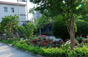 邯鄲理工學校怎么樣？學校都有什么專業(yè)？