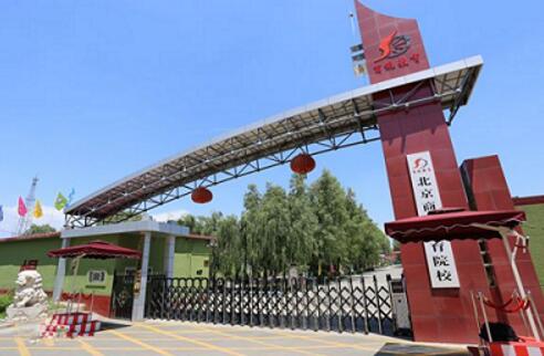 北京商鯤學(xué)院可以學(xué)習(xí)高鐵乘務(wù)專業(yè)嗎？