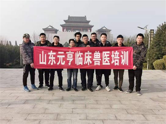 想當獸醫(yī)要學什么？   