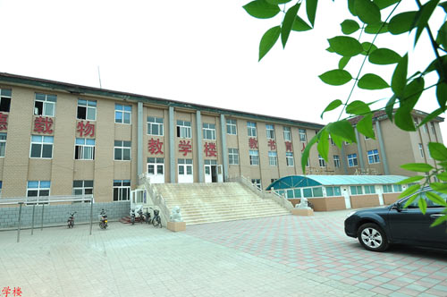 滄州國興職業(yè)技術學校開設了哪些專業(yè)？