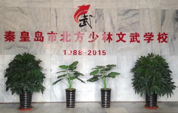 秦皇島北方少林文武學(xué)校就業(yè)如何？這答案你放心！