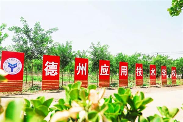 776829602220210528142842_4621 776829602220210528142842_4621