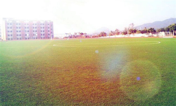 煙臺工貿技師學院優(yōu)勢有哪些？