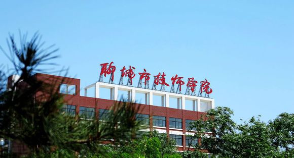 聊城市技師學(xué)院有計算機專業(yè)嗎？