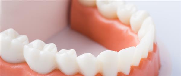 濟(jì)南有哪些學(xué)校開(kāi)設(shè)口腔醫(yī)學(xué)專(zhuān)業(yè)？