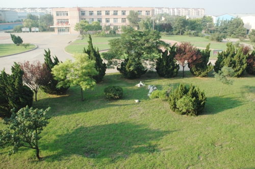 山東龍口礦業(yè)集團(tuán)高級技工學(xué)校老師們教學(xué)怎么樣？升學(xué)率高嗎？