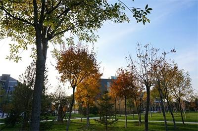 陽光傳媒教育學(xué)校播音與主持藝術(shù)專業(yè)好不好？就業(yè)情況如何？