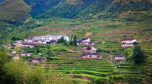 農(nóng)村經(jīng)濟(jì)綜合管理專業(yè)怎么樣？山東威海外國(guó)語進(jìn)修學(xué)院帶你了解一下！