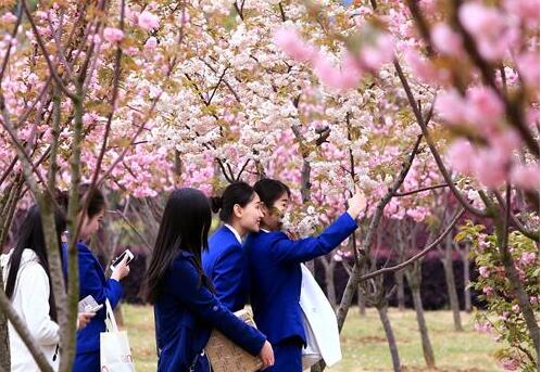 武漢東湖學院自考本科專業(yè)有哪些？