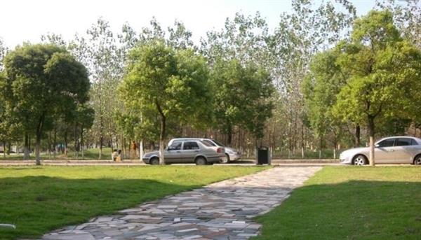 唐山慧豐會計培訓學校特色班有哪些？