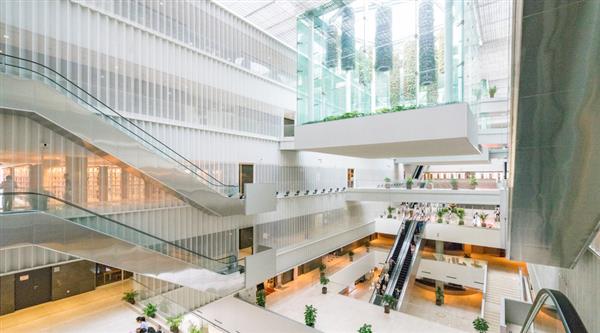 石家莊迅騰軟件學(xué)院都開設(shè)哪些專業(yè)？