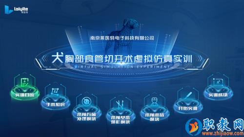 動物手術虛擬仿真實訓教學系統(tǒng)，解決畜牧獸醫(yī)人才培養(yǎng)難題