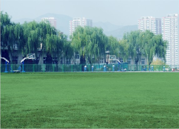 青島滿天星職業(yè)培訓學校怎么樣？