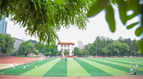 為什么選擇青島滿天星職業(yè)培訓(xùn)學(xué)校？