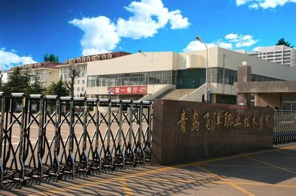 青島飛洋職業(yè)技術(shù)學(xué)院物流管理專業(yè)好嗎？