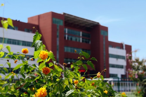 石家莊經(jīng)濟職業(yè)學院有單招嗎？