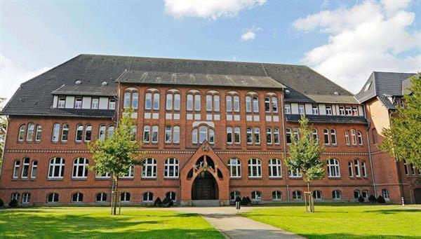 山東萬杰醫(yī)學(xué)院有本科專業(yè)嗎？