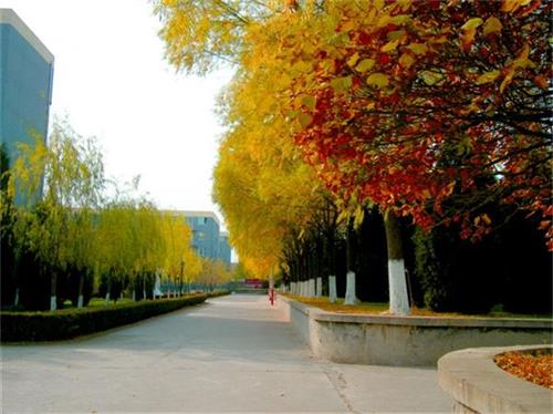 北京現(xiàn)代體育學(xué)院、航空乘務(wù)學(xué)院設(shè)施好嗎？