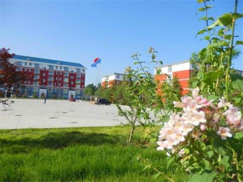 在山東報考哪所學校學習護理專業(yè)比較好？   