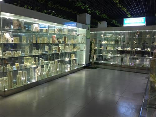 山東學(xué)臨床去哪里？歡迎選擇山東人民專修學(xué)院！