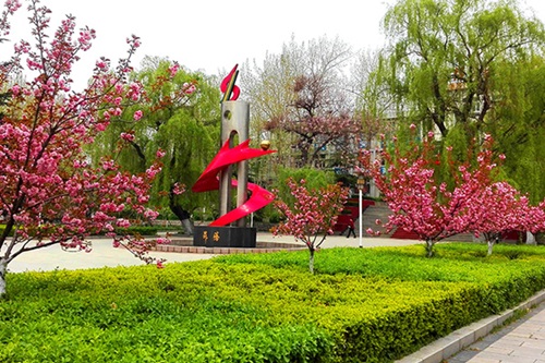 選擇齊魯技術(shù)學(xué)院學(xué)幼師怎么樣？