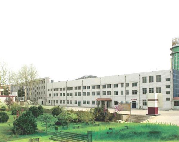 山東哪所學校能報考春季高考？