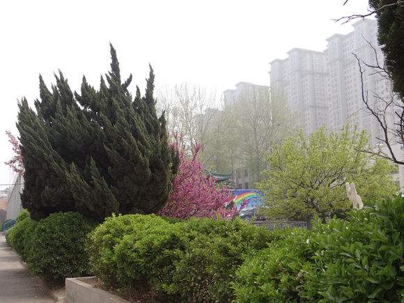 煙臺(tái)天虹學(xué)院怎么樣？