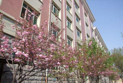 保定學汽修選擇保定新興工業(yè)技工學校怎么樣？