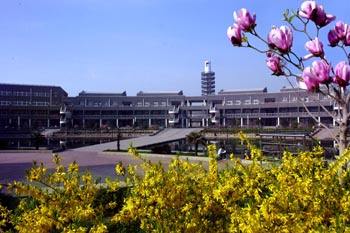 哪所學(xué)習(xí)有軟件與信息服務(wù)專(zhuān)業(yè)？   