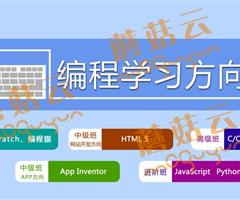 孩子為什么要盡早學(xué)習(xí)少兒編程。濟(jì)寧蘑菇云少兒編程