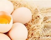 專(zhuān)業(yè)圖片