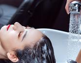 專(zhuān)業(yè)特色